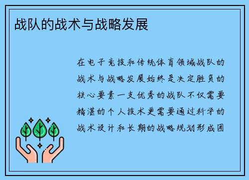 战队的战术与战略发展